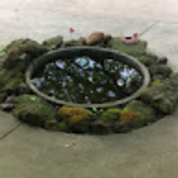 Meet your Posher, Violet’s Vale - Picture 1 of 1